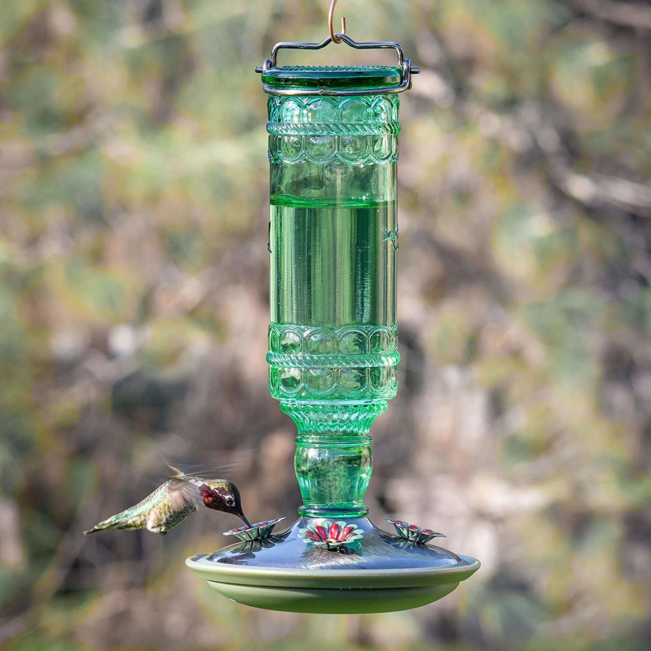 Green Antique Bottle 10-Ounce Glass Hummingbird Feeder