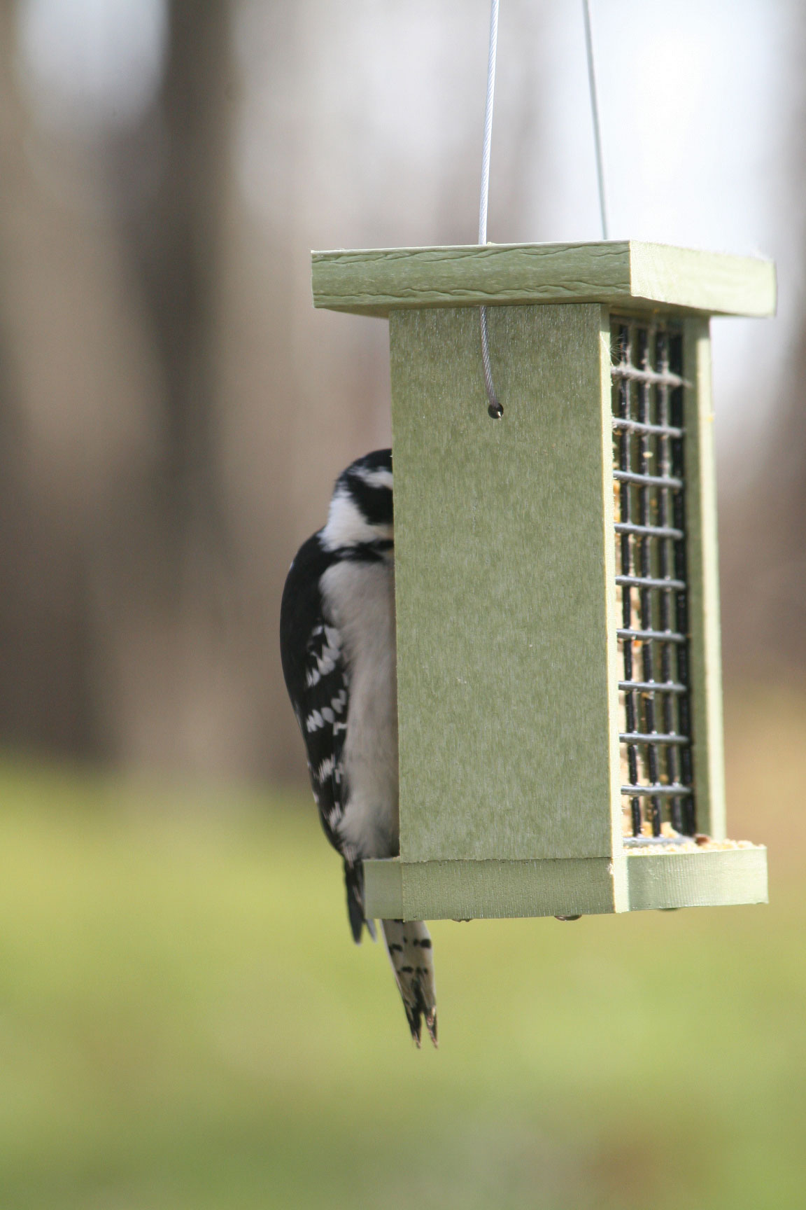 Green Solutions Single Suet Feeder
