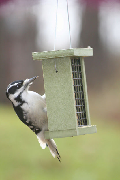Green Solutions Single Suet Feeder