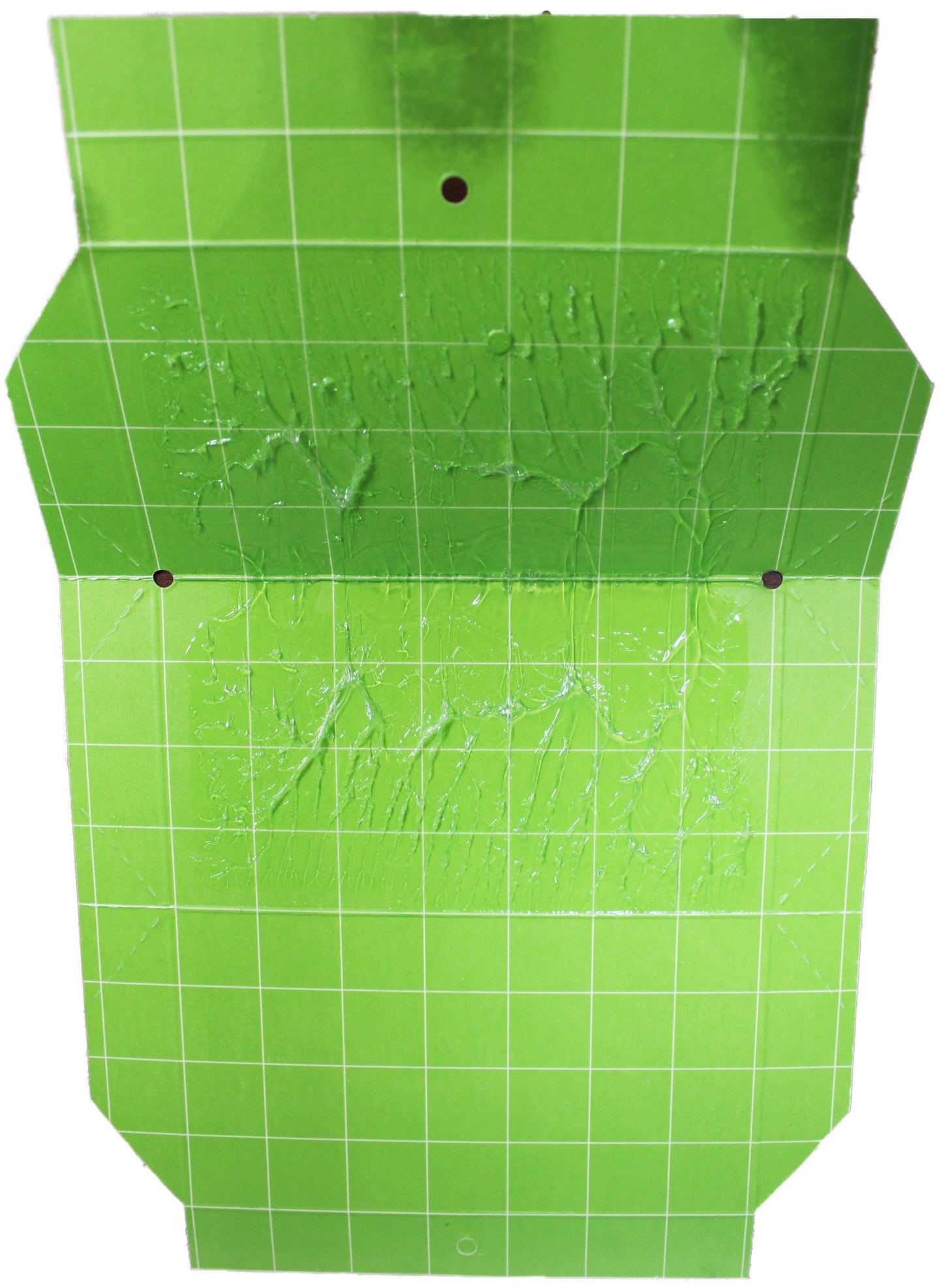 TreeHelp Spongy (Gypsy) Moth Trap with Lure (For Single Season)