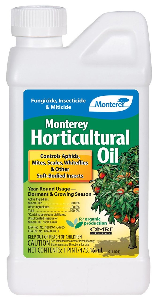 Horticultural Oil Insect Spray, 1 Pint