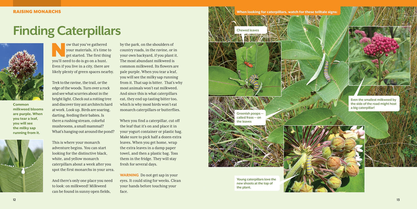 How to Raise Monarch Butterflies: A Step-by-Step Guide for Kids