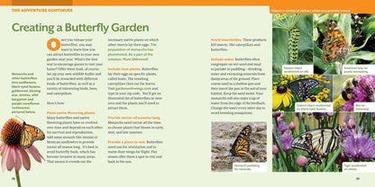 How to Raise Monarch Butterflies: A Step-by-Step Guide for Kids