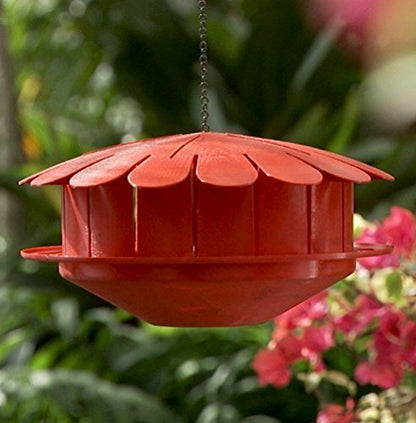 Humm-Bug Hummingbird Protein Feeder