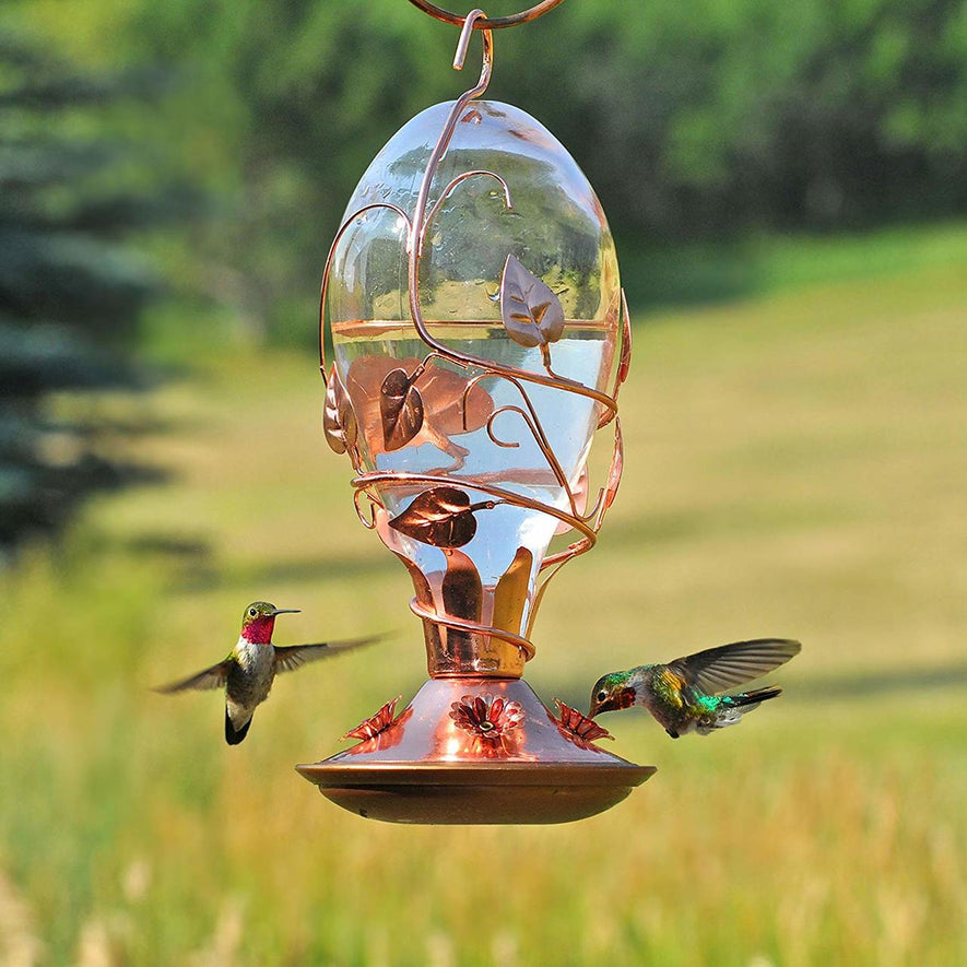 Hummingbird Looking Glass Feeder, 32oz.