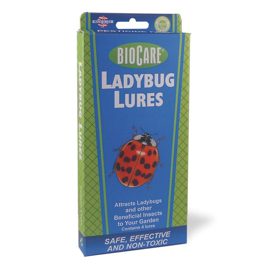 Ladybug  Lures, 4-Pack