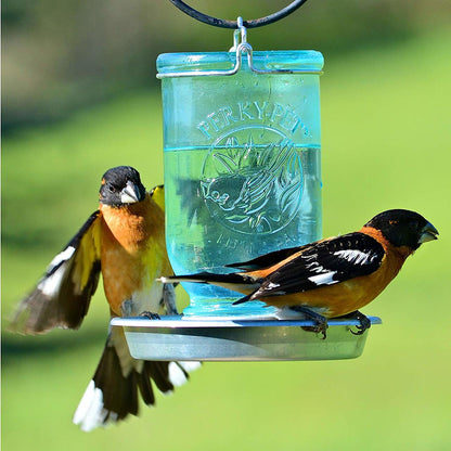 Mason Jar Wild Bird Waterer