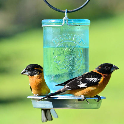Mason Jar Wild Bird Waterer