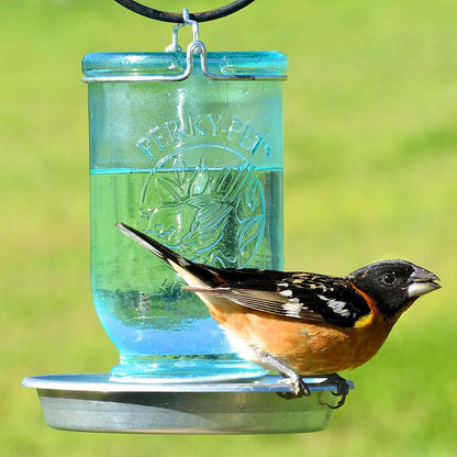 Mason Jar Wild Bird Waterer