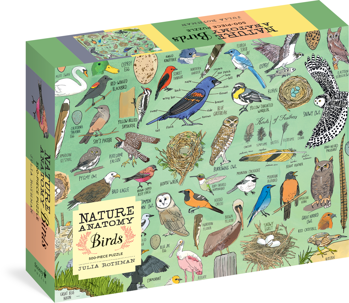 Nature Anatomy, Birds 500pc Puzzle