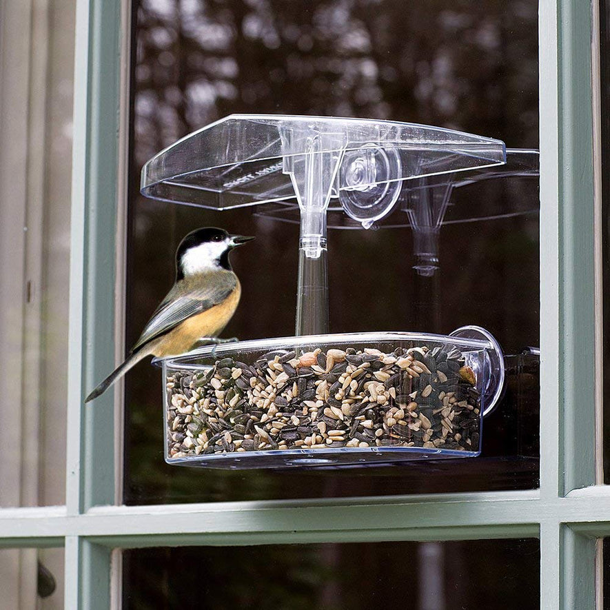 Observer Window Bird Feeder