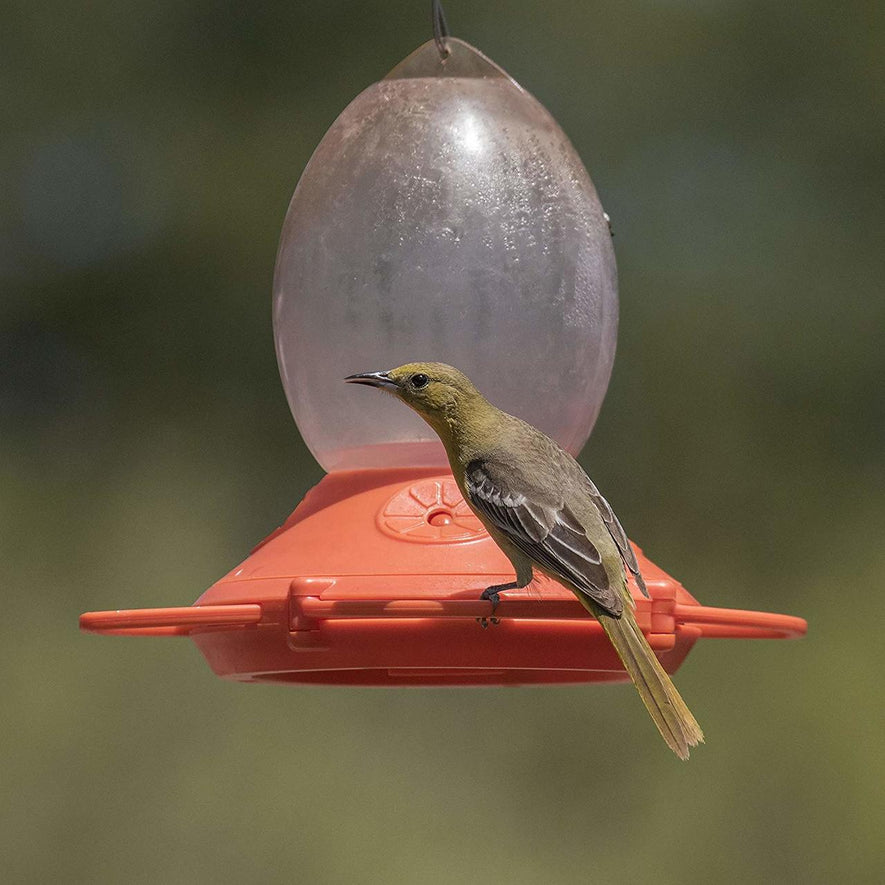 Opus Plus 32-ounce Plastic Oriole Feeder