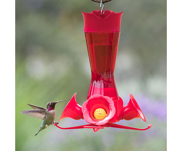 Pinch Waist Red Glass Hummingbird Feeder