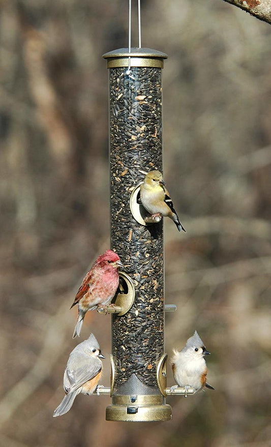 Quick-Clean Brass Seed Tube Feeder, Large