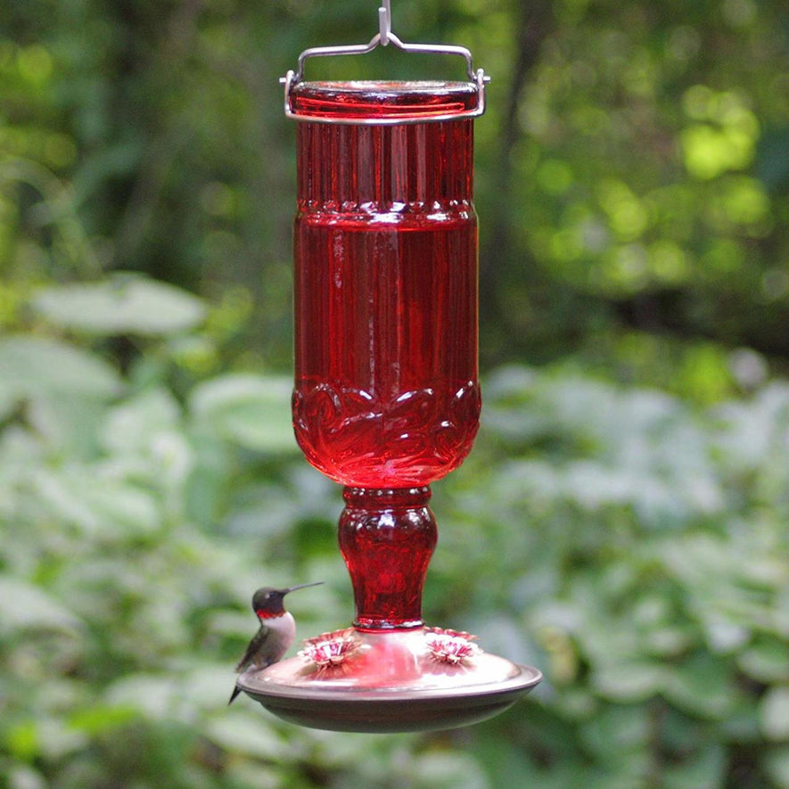 Red Antique Bottle Hummingbird Feeder