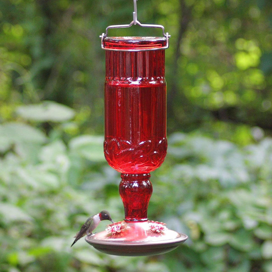 Red Antique Bottle Hummingbird Feeder