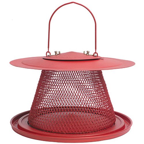 Red Cardinal Bird Feeder