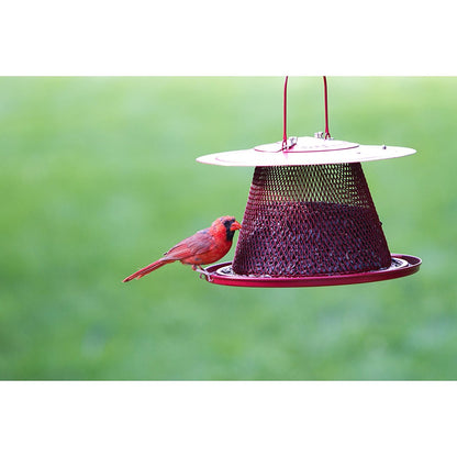Red Cardinal Bird Feeder