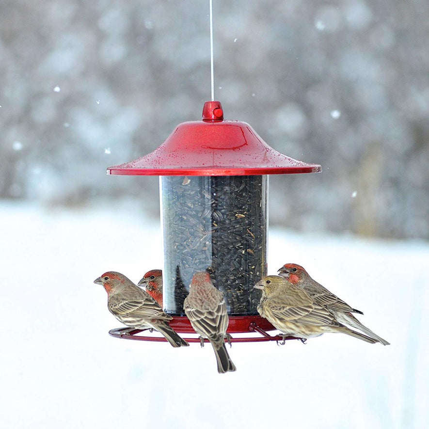 Red Sparkle Panorama Bird Feeder