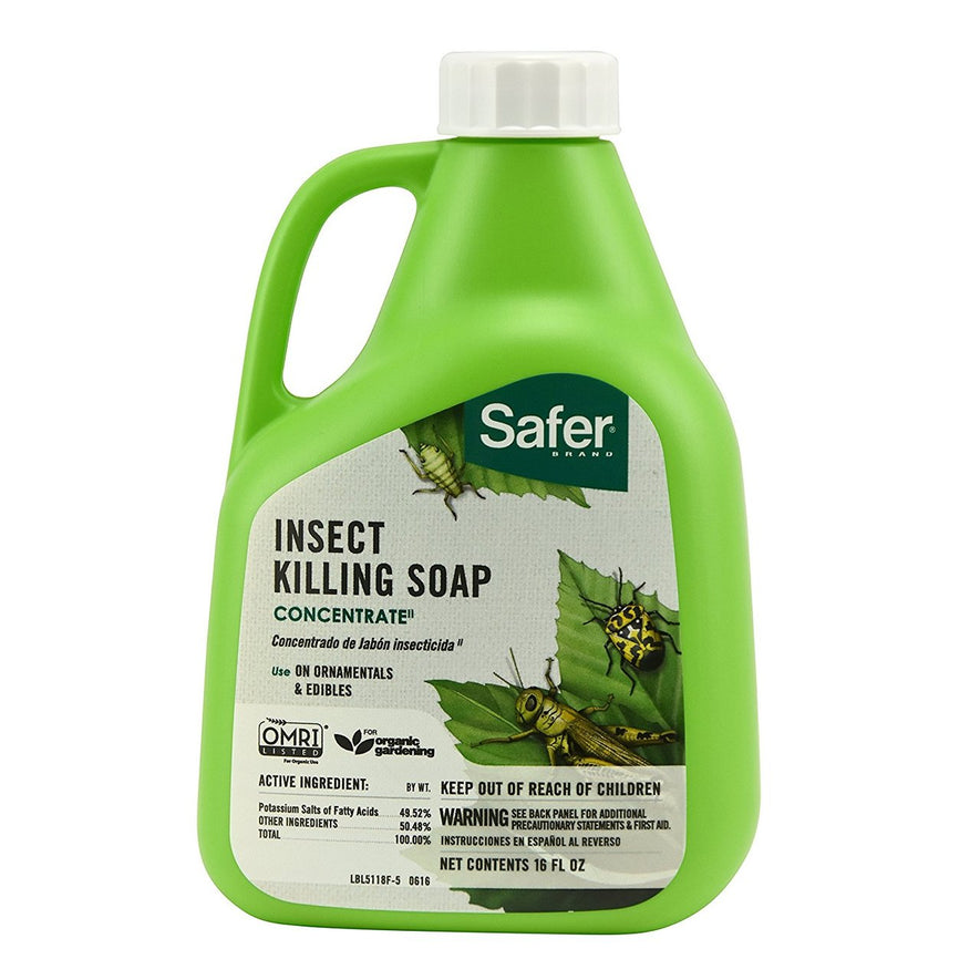 Safer Brand Insect Killing Soap, 16oz Concentrate