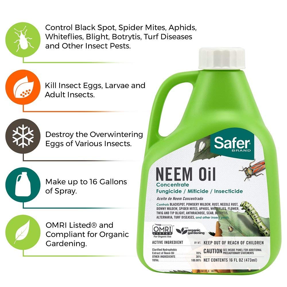 neem oil for plants spider mites Buy Safer Brand Neem Oil Concentrate Online in USA, $13.95