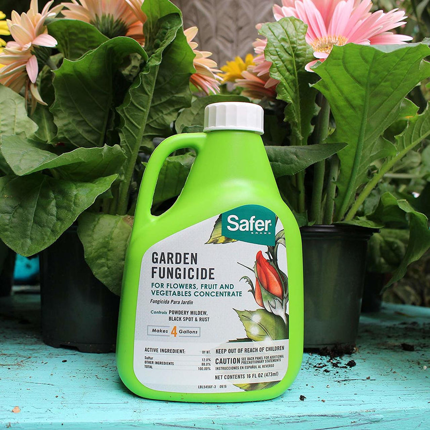 Safer Garden Fungicide Concentrate, 16-Ounce