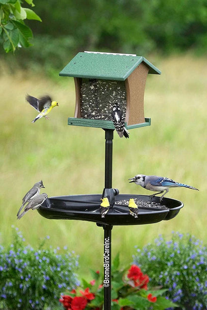 garden treasures bird seed dispenser Buy Seed Buster Seed Tray & Seed Catcher Online in USA, $62.39