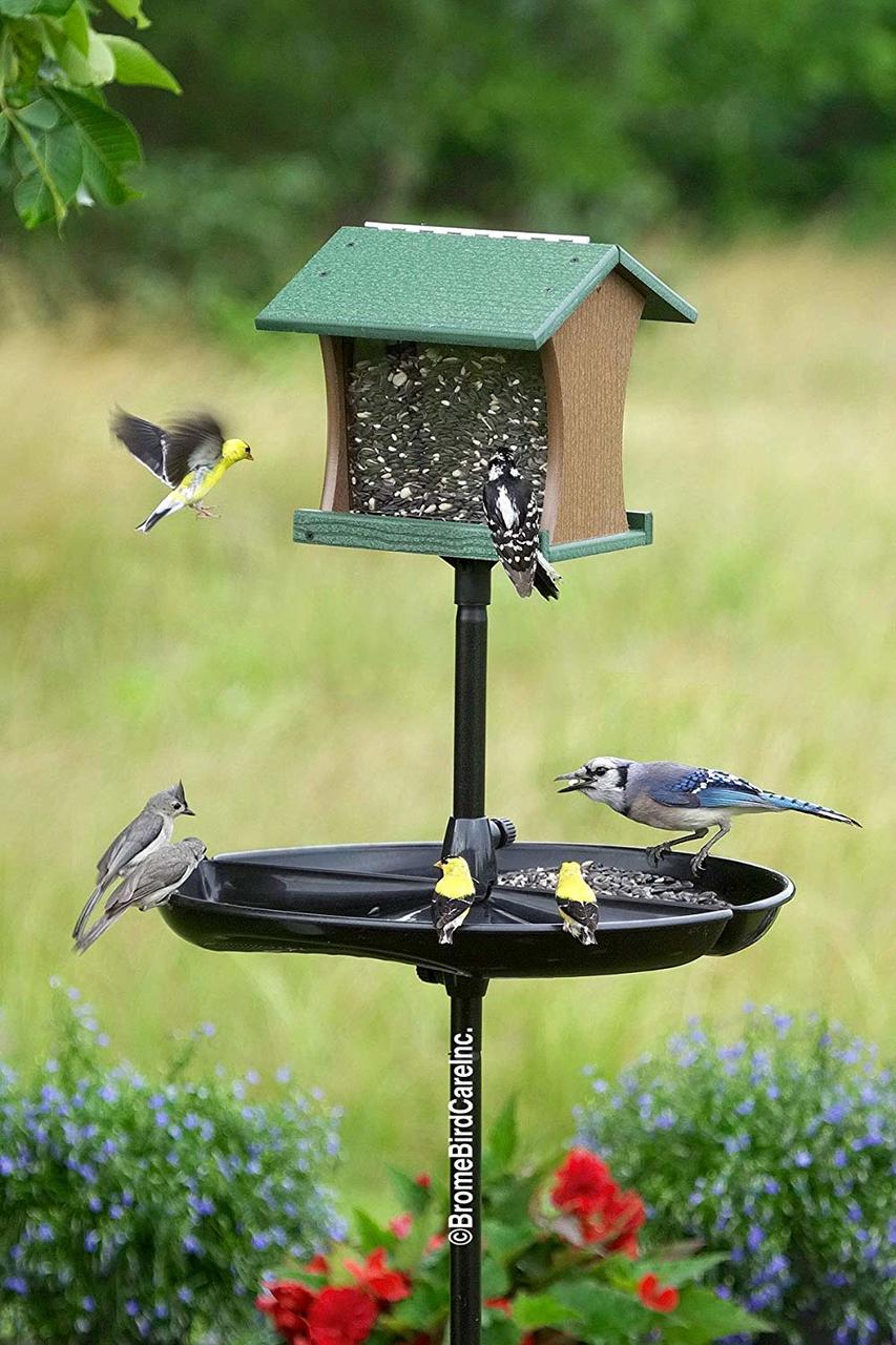 Seed Buster Seed Tray & Seed Catcher