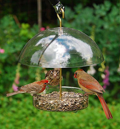 Seed Saver Domed Bird Feeder