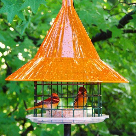 Sky Cafe Orange Oriole Bird Feeder