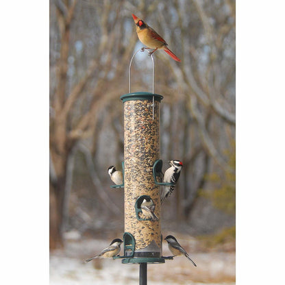 Spruce Quick Clean Big Tube Feeder, Large