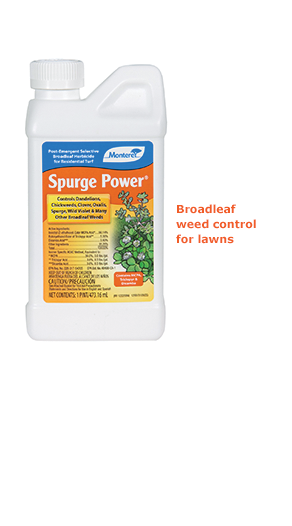 image herbicide spotted spurge Spurge Power Weed Control, 1 Pint Concentrate