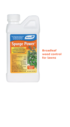 Spurge Power Weed Control, 1 Pint Concentrate