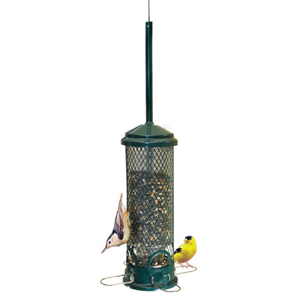 Squirrel Buster Mini Squirrel Proof Bird Feeder