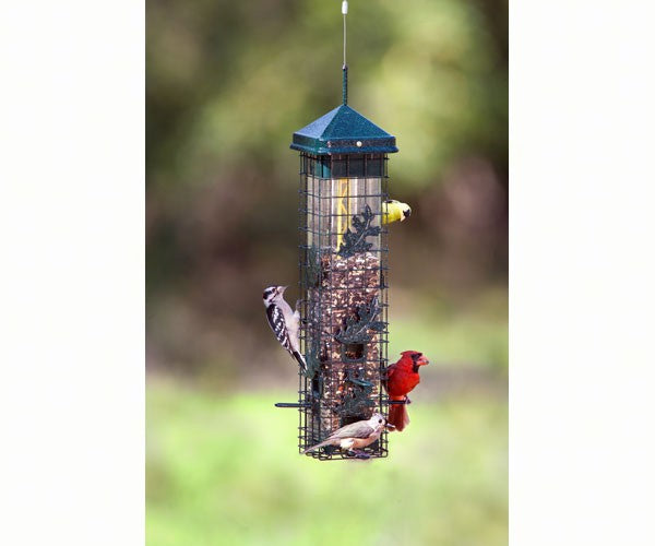 Brome Bird Care Squirrel Solution Bird Feeder - Thumbnail 3