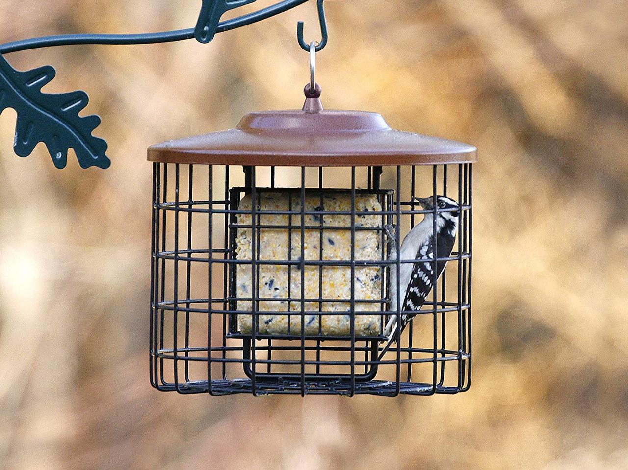 Stokes Squirrel Proof Double Suet Feeder