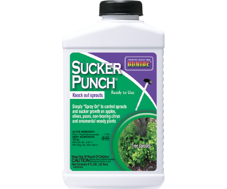 Sucker Punch (8 oz. RTU Brush Top)