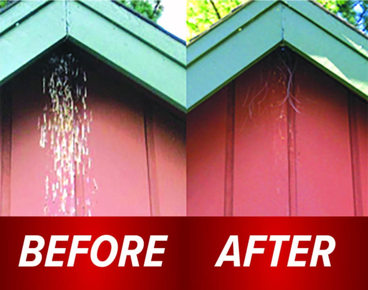 Swallow Shield & Bat Deterrent