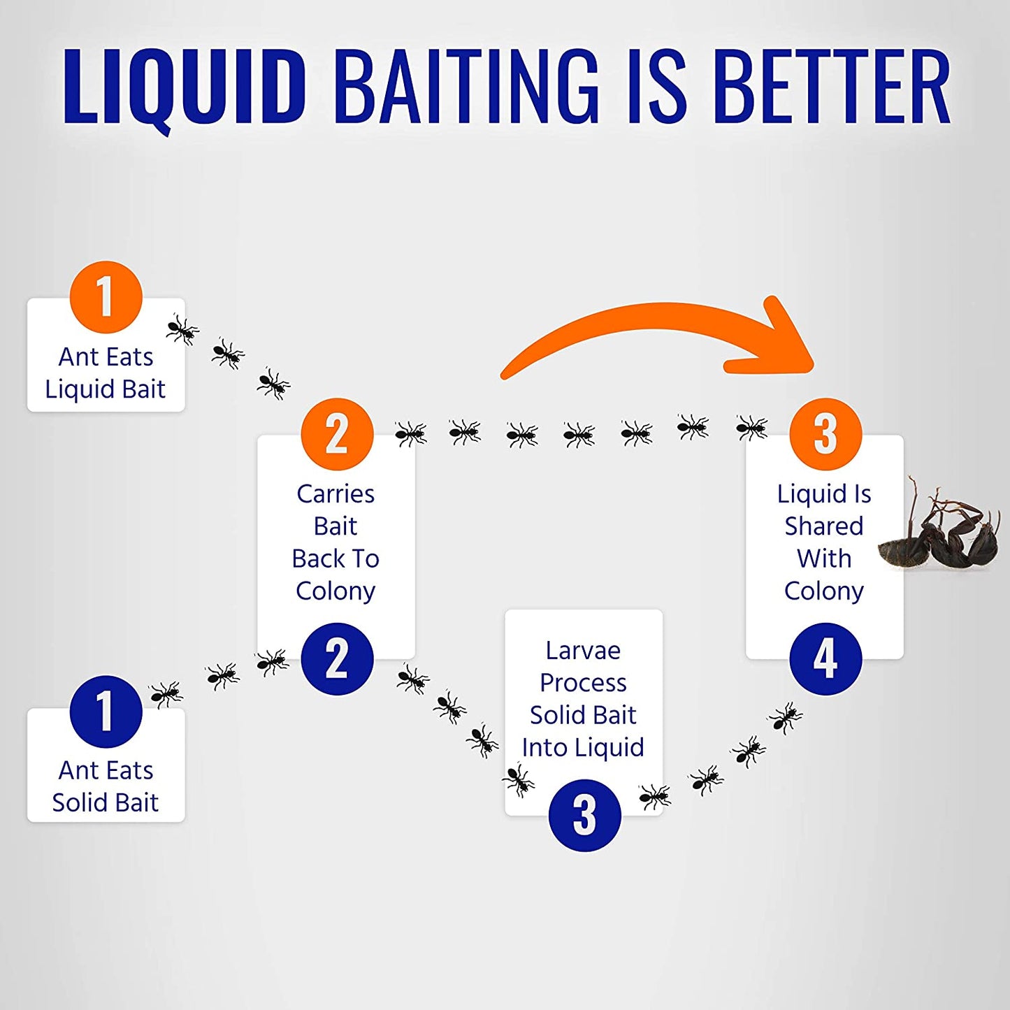 Terro Liquid Ant Killer Bait