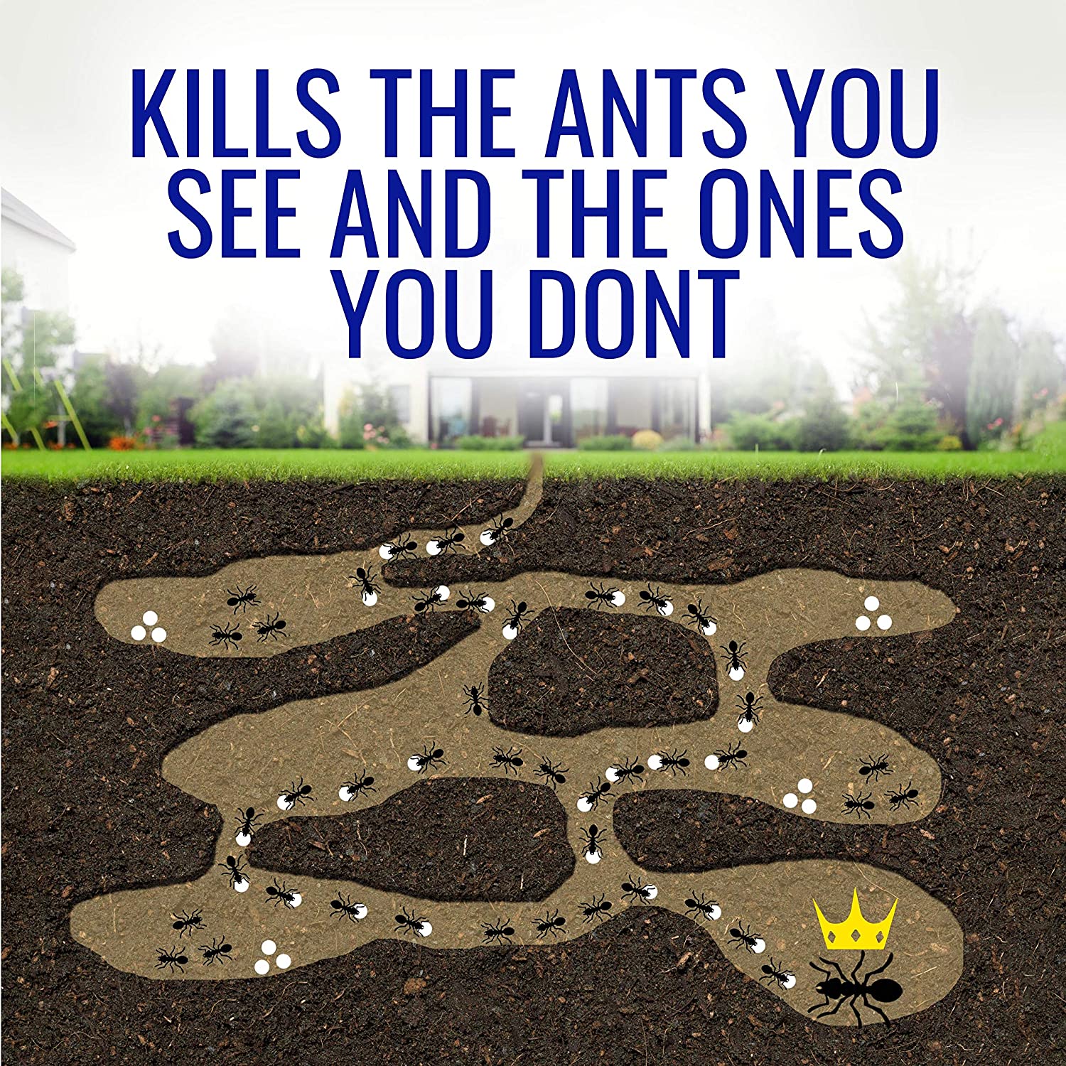 Terro Liquid Ant Killer Bait - Thumbnail 2