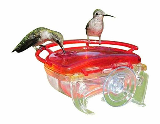 The Gem Window Hummingbird Feeder