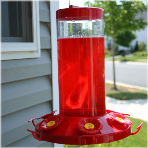 The Grand Master 48-Ounce Hummingbird Feeder