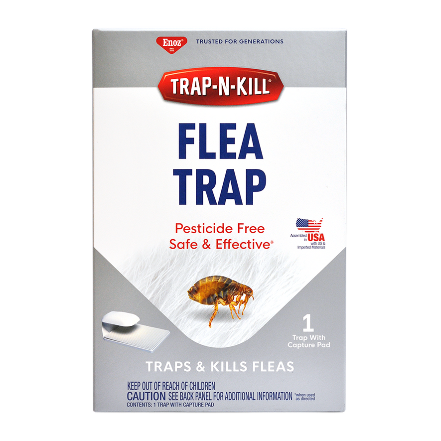 Trap N Kill Flea Trap