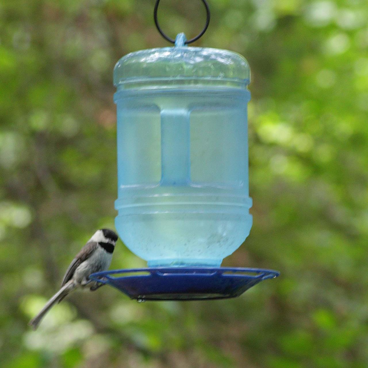 Water Cooler Bird Waterer