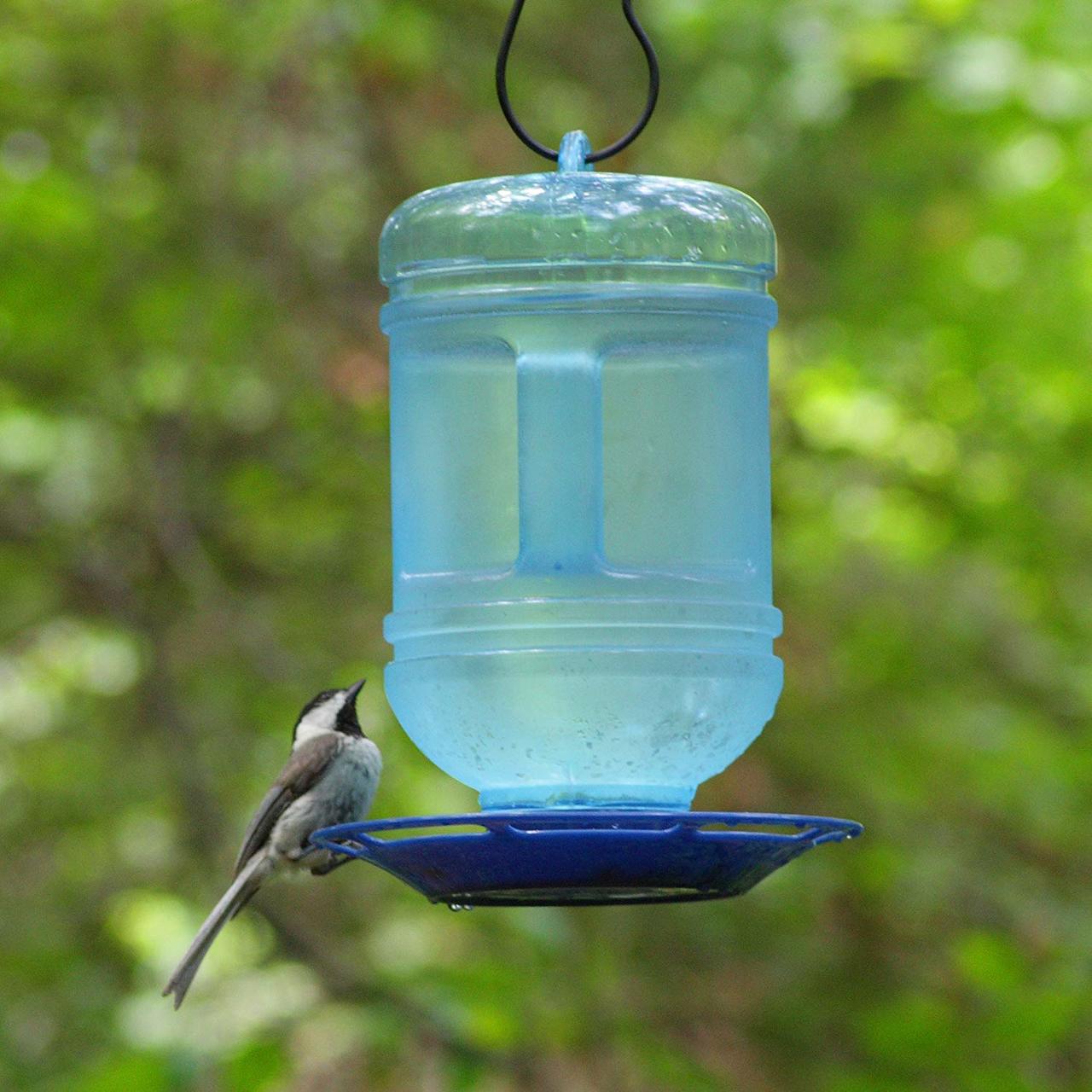 Water Cooler Bird Waterer