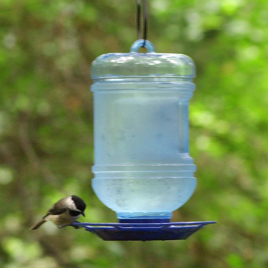 Water Cooler Bird Waterer