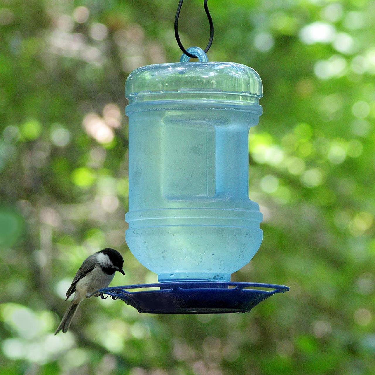 Water Cooler Bird Waterer