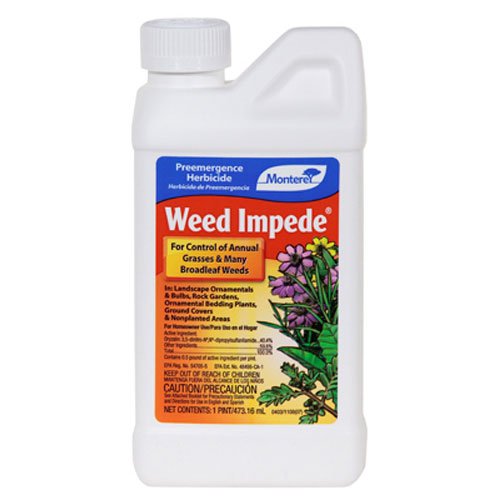 Weed Impede (Surflan), 1 Pint Concentrate