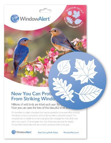 Window Alert Leaf Medley Decals