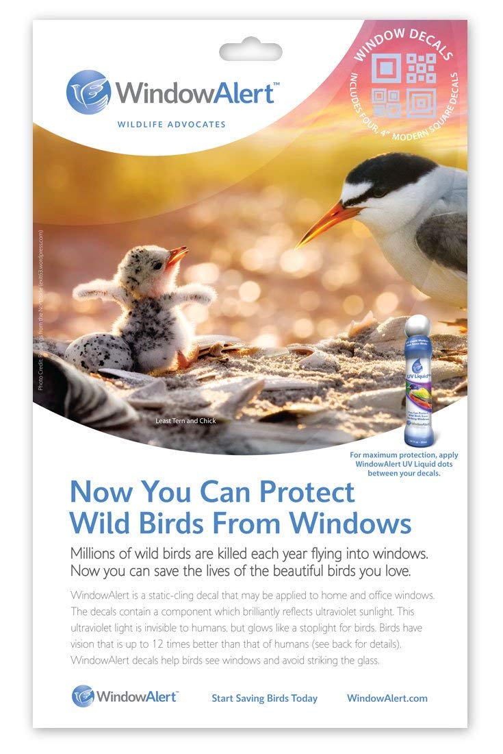 Buy Window Alert Modern Square Decals Online in USA, Window Alert